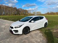 Gebraucht Kia ProCeed GT-Challenge 204 PS (150 kW) 2014 Weiß Kleinwagen