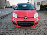 Gebraucht Fiat Panda Easy 69 PS (50 kW) 2018 Rot Limousine