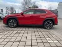 Gebraucht Lexus UX 250h 145 PS (106 kW) 2023 Glutrot SUV