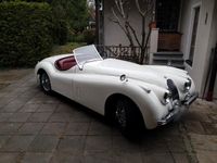 Gebraucht Jaguar XK 160 PS (117 kW) 1954 Weiß Cabrio