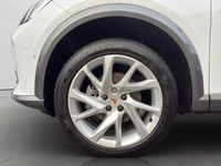 Gebraucht Cupra Formentor Basis 150 PS (110 kW) 2024 Weiß SUV