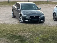 Gebraucht Jaguar XF Pure 180 PS (132 kW) 2019 Limousine