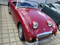 Gebraucht Austin Healey Frogeye 43 PS (31 kW) 1955 Cabrio