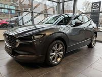 Gebraucht Mazda CX-30 Selection 179 PS (131 kW) 2020 Grau SUV