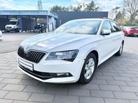 Gebraucht Skoda Superb 150 PS (110 kW) 2019 Weiß Kombi