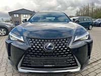 gebraucht Lexus UX 250h Hybrid Luxury Line