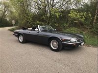 Gebraucht Jaguar XJS 275 PS (202 kW) 1988 Cabrio