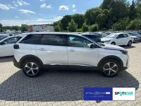 Gebraucht Peugeot 5008 Allure 131 PS (96 kW) 2023 Weiß SUV