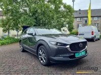 Gebraucht Mazda CX-30 Selection 179 PS (131 kW) 2020 Grau SUV