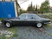 Gebraucht Jaguar XJ 295 PS (216 kW) 1985 Grau Limousine