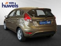 Gebraucht Ford Fiesta Titanium 101 PS (74 kW) 2014 Braun Kleinwagen
