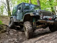 Gebraucht Jeep Wrangler Sport 177 PS (130 kW) 2001 Schwarz SUV