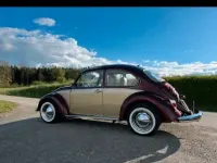 Gebraucht VW Käfer 34 PS (25 kW) 1969 Andere farben Kleinwagen