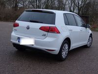gebraucht VW Golf Plus 1.6 TDI BlueMotion Technology LIFE...