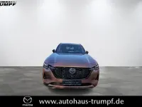 Gebraucht Mazda CX-80 Homura-Line 254 PS (186 kW) 2025 Braun SUV