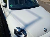 Gebraucht VW Beetle Sound 105 PS (77 kW) 2018 Weiß Kleinwagen