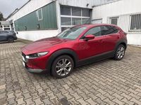 Gebraucht Mazda CX-30 2020 Rot SUV