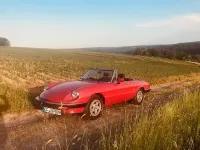 Gebraucht Alfa Romeo Spider 116 PS (85 kW) 1989 Rot Cabrio