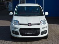 Gebraucht Fiat Panda Lounge 69 PS (50 kW) 2015 Weiß Kleinwagen
