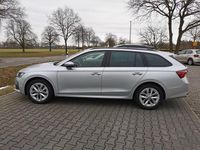 Gebraucht Skoda Octavia 150 PS (110 kW) 2024 Silber Kombi