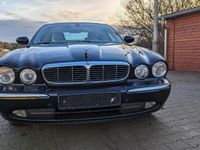 Gebraucht Jaguar XJ8 Sovereign 298 PS (219 kW) 2005 Schwarz Limousine