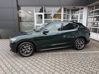 Gebraucht Alfa Romeo Stelvio Lusso 209 PS (153 kW) 2021 Grün SUV