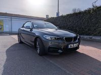 Gebraucht BMW M235 326 PS (239 kW) 2015 Grau Cabrio