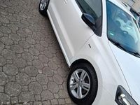 Usata VW Polo Match 90 CV (66 kW) 2012 Bianco Utilitaria