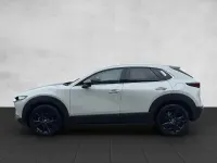 Neu Mazda CX-30 Homura-Line 140 PS (102 kW) 2026 SUV