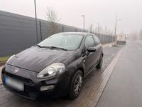 Gebraucht Fiat Punto 69 PS (50 kW) 2013 Schwarz Kleinwagen