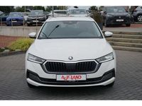 Gebraucht Skoda Octavia 204 PS (150 kW) 2021 Candyweiss Kombi
