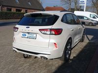 Gebraucht Ford Kuga ST-Line 150 PS (110 kW) 2023 Arktisweiss SUV