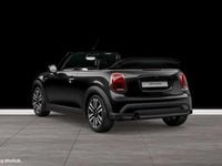 Gebraucht Mini Cooper Cabriolet 136 PS (100 kW) 2023 Midnight black Cabrio