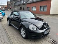 gebraucht VW Beetle Cabriolet - 8 Reifen