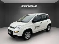 Gebraucht Fiat Panda 70 PS (51 kW) 2024 Weiß Kleinwagen