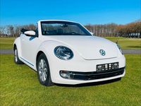 Gebraucht VW Beetle 105 PS (77 kW) 2013 Weiß Kleinwagen