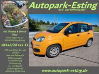 Gebraucht Fiat Panda 69 PS (50 kW) 2021 Orange Kleinwagen