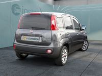 gebraucht Fiat Panda 1.2 Lounge KLIMA LM SERVO eSPIEGEL NSW