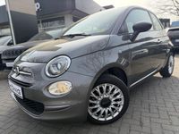 Gebraucht Fiat 500 Basis 69 PS (50 kW) 2023 Grau Kleinwagen