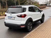 Gebraucht Ford Ecosport Active 125 PS (91 kW) 2021 Frostweiß SUV