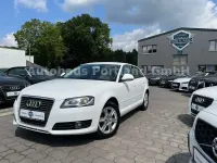 Brugt Audi A3 Attraction 125 HK (91 kW) 2009 Hvid Hatchback