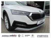 Gebraucht Skoda Octavia Scout 200 PS (147 kW) 2023 Weiß Kombi