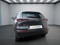 Gebraucht Mazda CX-30 140 PS (102 kW) 2024 Grau SUV
