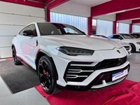 Gebraucht Lamborghini Urus 180 PS (132 kW) 2019 Weiss SUV