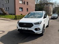 Gebraucht Ford Kuga ST-Line 150 PS (110 kW) 2019 Weiß SUV