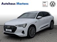 Gebraucht Audi e-tron Advanced 300 kW (408 PS) 2019 Gletscherweiß SUV