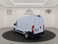 Gebraucht Toyota Proace 140 PS (102 kW) 2024 Weiß Van / Kleinbus