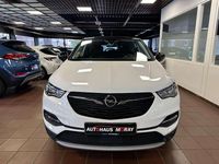 Gebraucht Opel Grandland X 131 PS (96 kW) 2020 White jade SUV