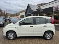 Neu Fiat Panda Icon 69 PS (50 kW) 2025 Weiss Limousine