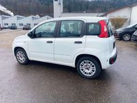 gebraucht Fiat Panda New1.2 Easy Klima EU6b